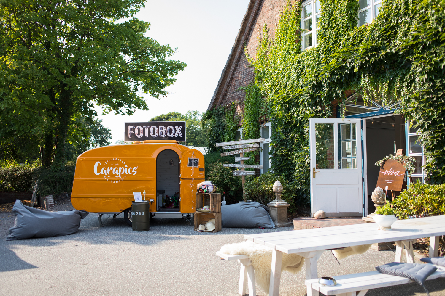 20180803_Carapics_Goldschaetzchen_7833